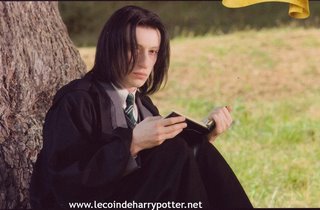 Snape zamlada.jpg